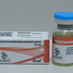 Testosterone Enanthate 250mg 10ml Maximus steryd w zastrzyku
